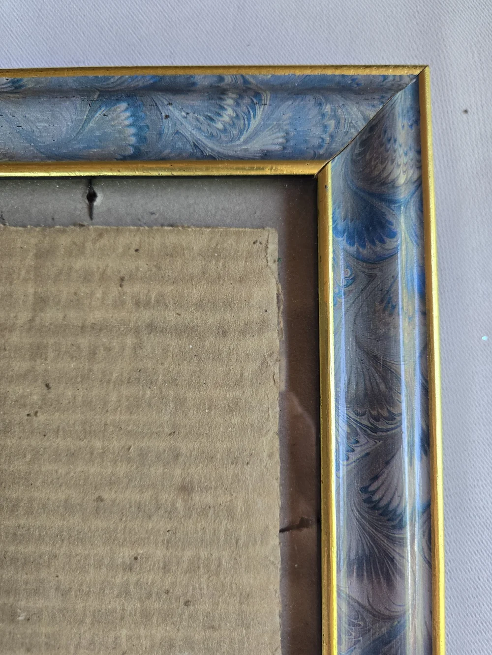 Fetco Feather Pattern Picture Frame with Gold Trim